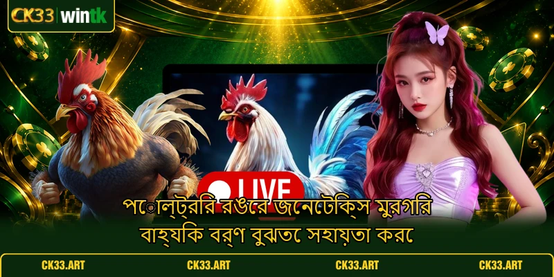 পোল্ট্রির রঙের জেনেটিক্স মুরগির বাহ্যিক বর্ণ বুঝতে সহায়তা করে পোল্ট্রির রঙের জেনেটিক্স মুরগির বাহ্যিক বর্ণ বুঝতে সহায়তা করে