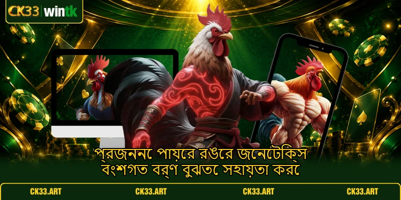 প্রজননে পায়ের রঙের জেনেটিক্স বংশগত বর্ণ বুঝতে সহায়তা করে প্রজননে পায়ের রঙের জেনেটিক্স বংশগত বর্ণ বুঝতে সহায়তা করে